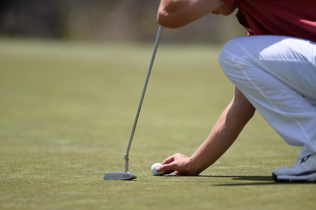 DII men's golf