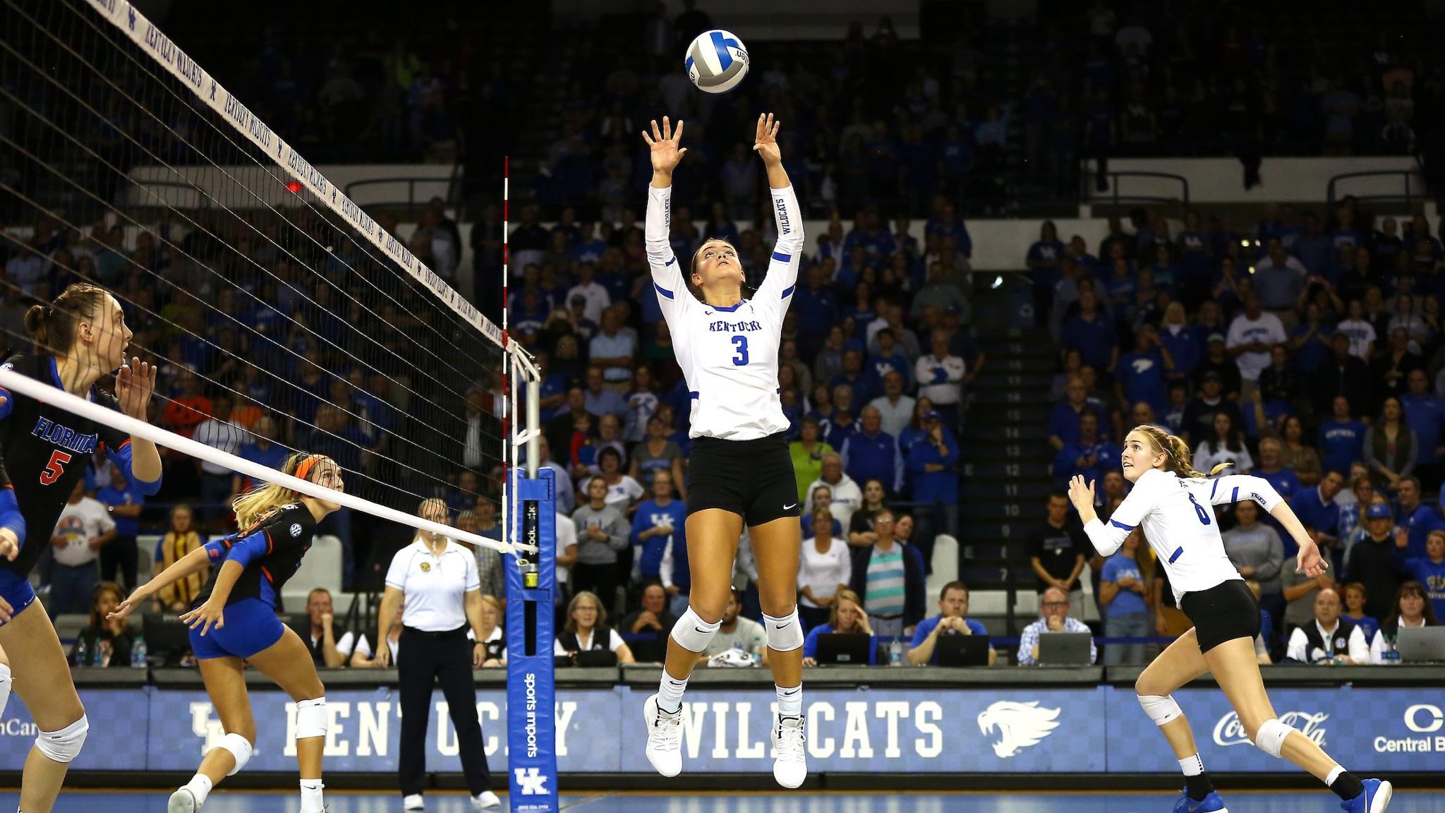 Madison Lilley played for Kentucky